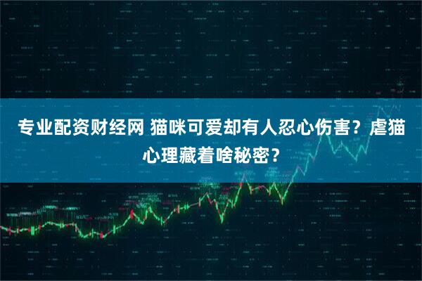 专业配资财经网 猫咪可爱却有人忍心伤害？虐猫心理藏着啥秘密？